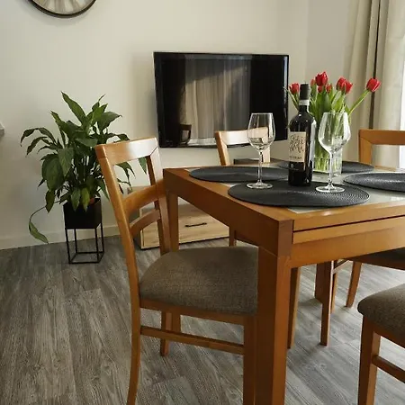Przy Plantach Apartment *